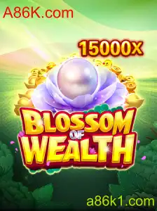 Explorando o Mundo de BlossomofWealth: Um Guia Completo